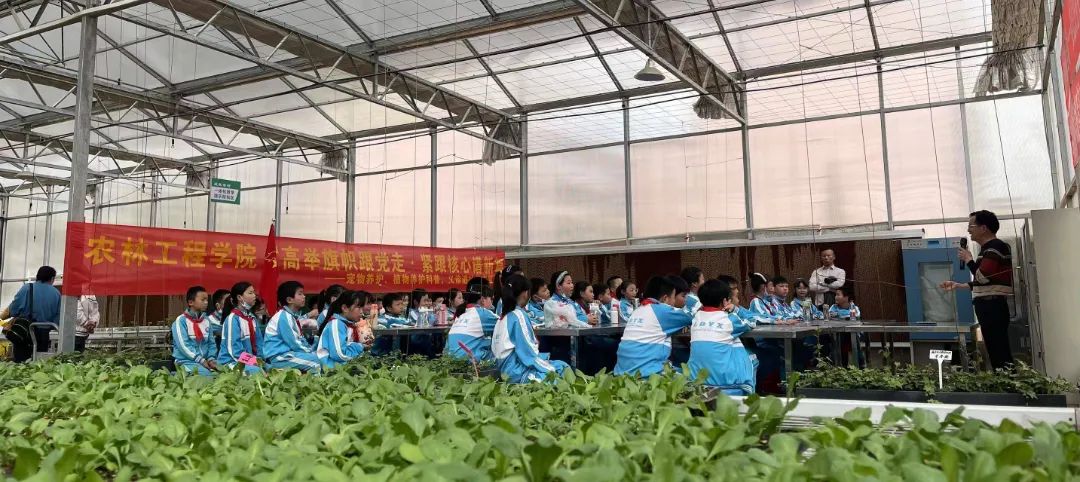 a_825143294714441728.jpg 图片