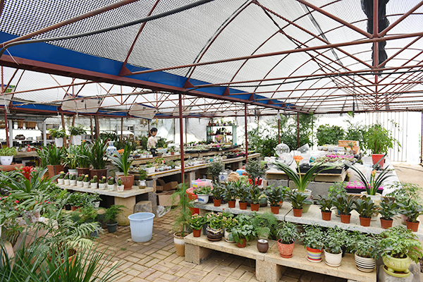 农林实训基地-小 农林实训基地-小