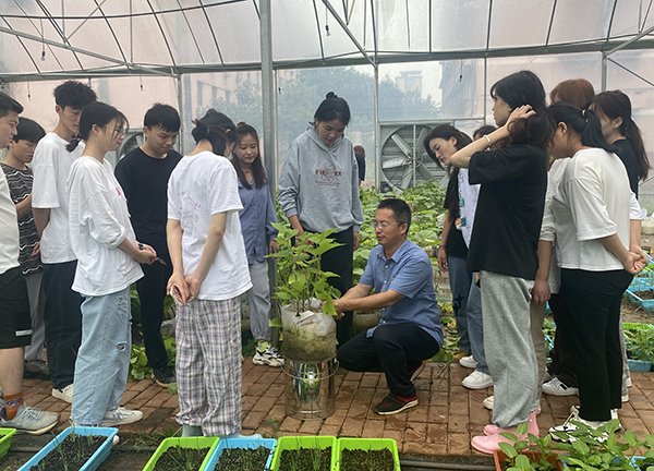 农林基地2 农林基地2