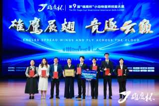 图片5
