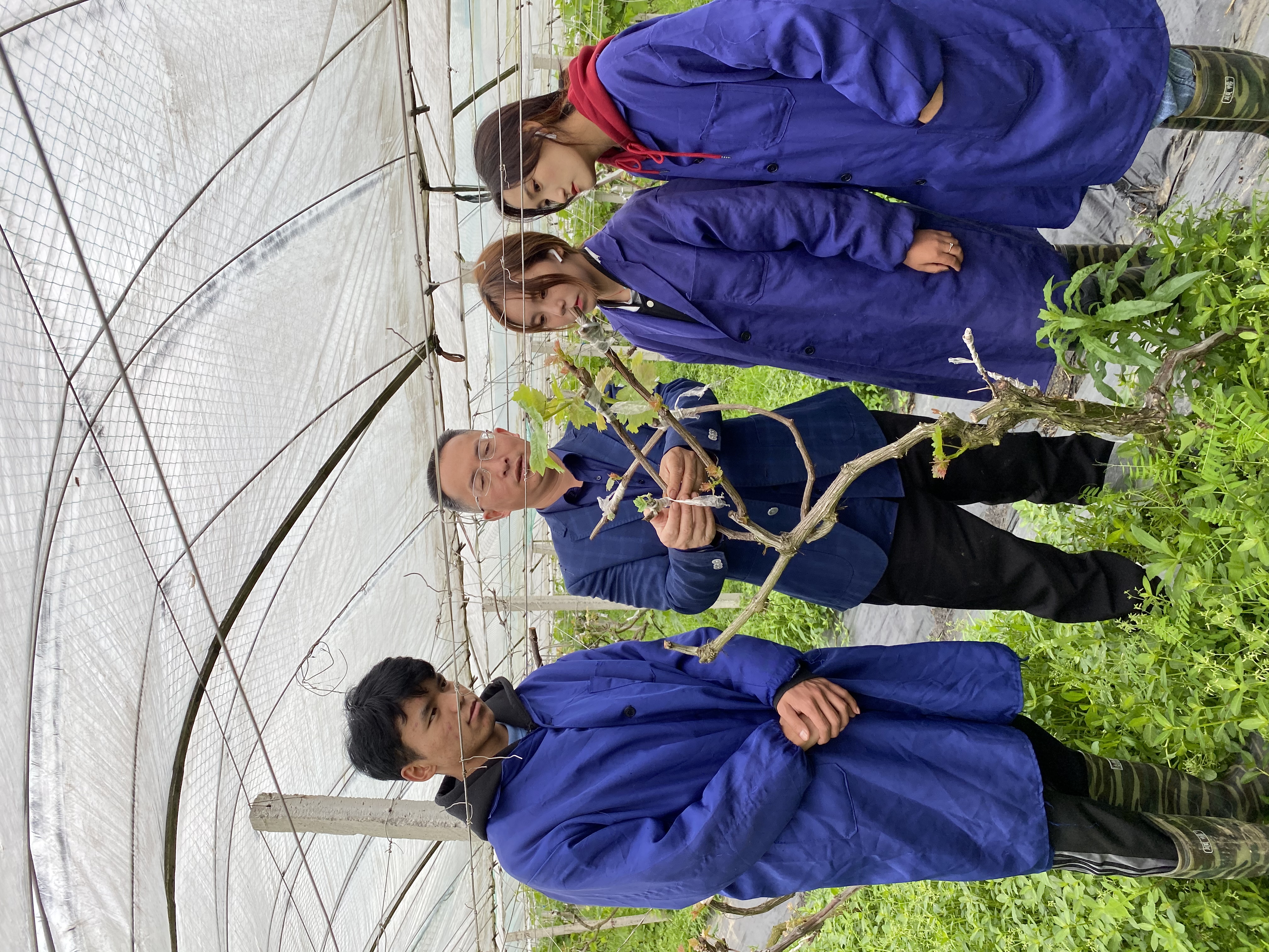 微信图片_20231204135925.jpg 微信图片_20231204135925.jpg