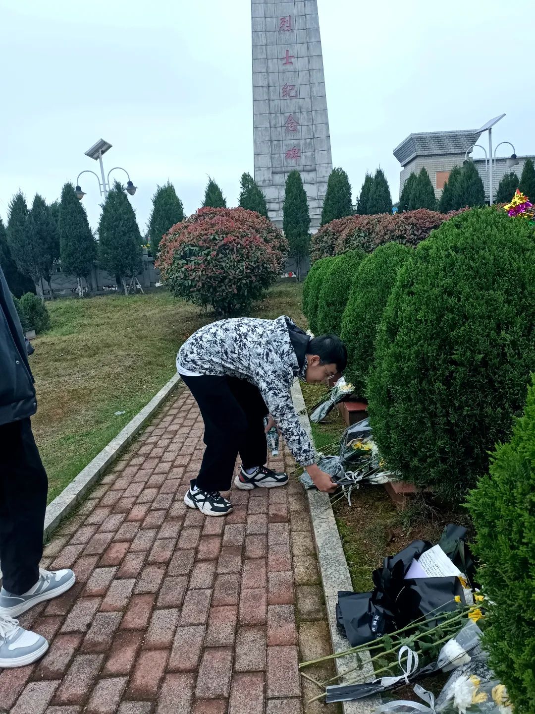 IMG20230405103118_edit_139101400180336.jpg 图片